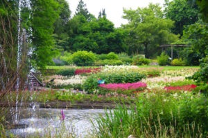 botanische tuin utrecht