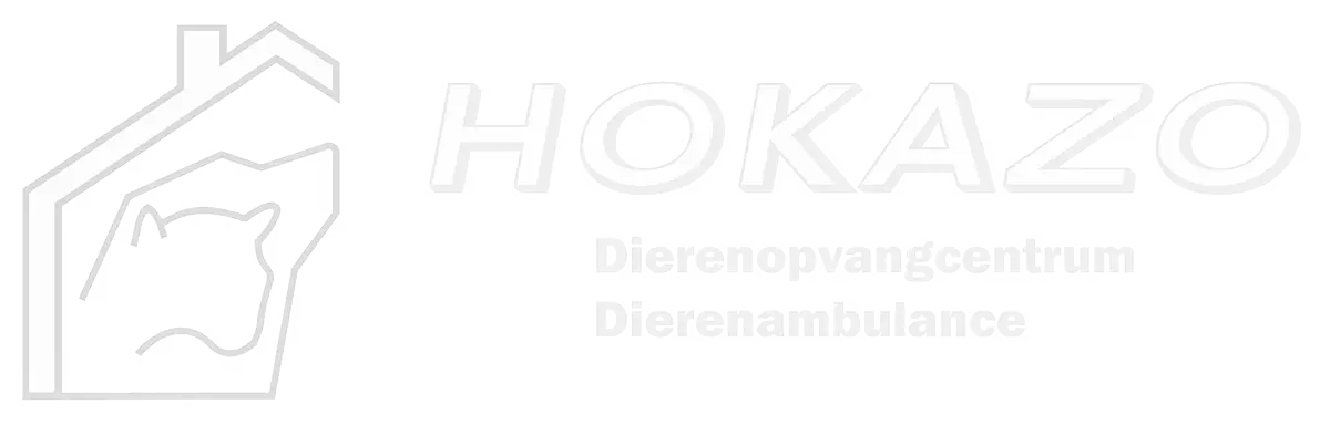 hokazo